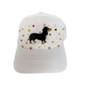 Dachshund