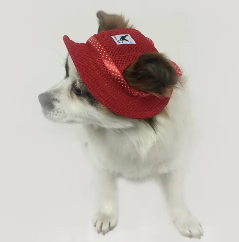 Dog Hat