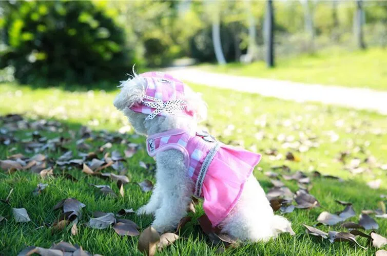 Dog Hat