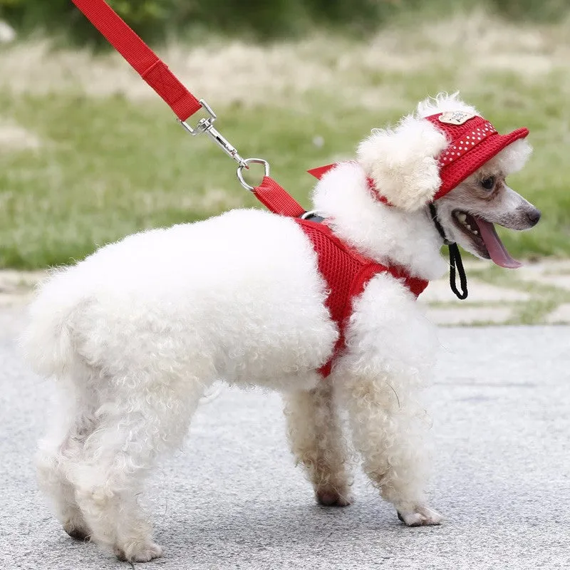 Dog Hat
