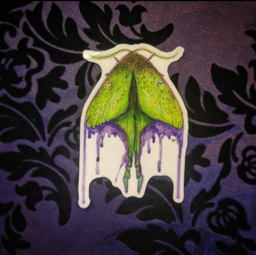 Watercolor Luna Moth  (Sticker)