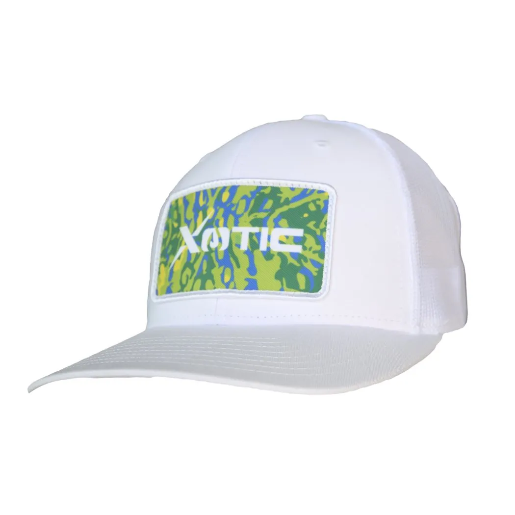 Xotic Camo Patch Hat